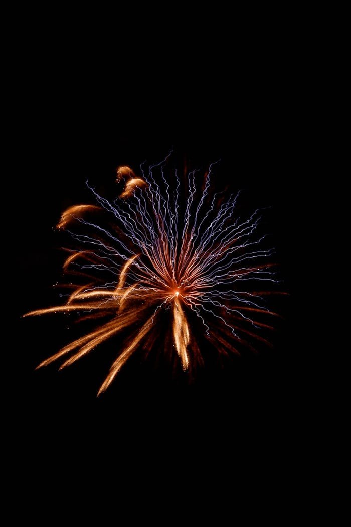 Fireworks Display at Night