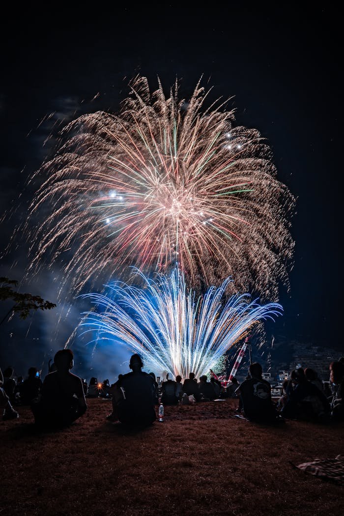 Fireworks over the water at night with people sitting on the grass